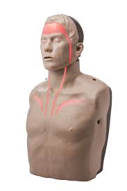 Brayden pulse cpr-aero